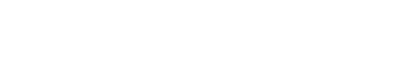 aidiot = ai + idiot