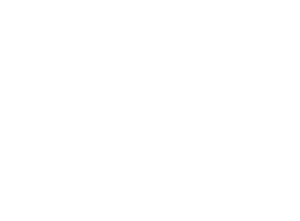 aidiot = ai + idiot